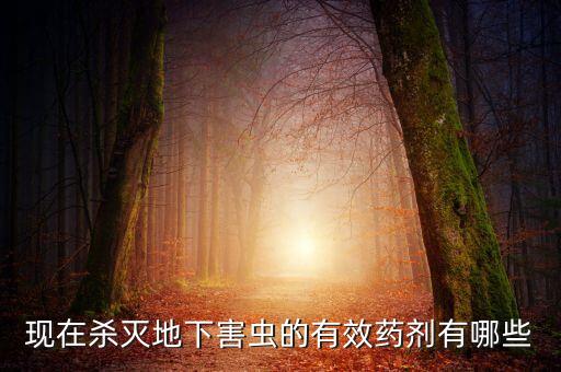 殺成蟲用什么農藥,殺天牛成蟲最有效的農藥