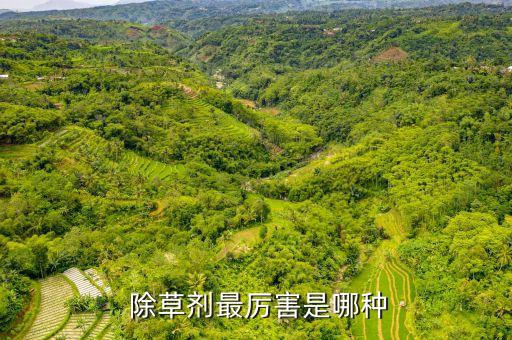 除草劑最厲害是哪種