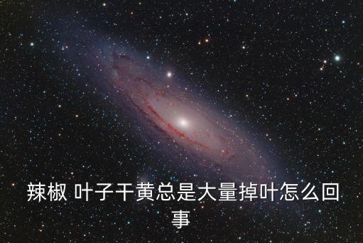 辣椒葉子發黃打什么農藥,辣椒樹葉子發黃枯萎怎么辦