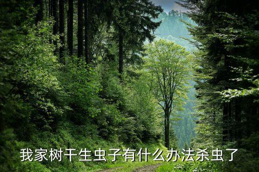 我家樹干生蟲子有什么辦法殺蟲了