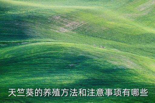 天竺葵用什么農(nóng)藥消毒,用什么農(nóng)藥給土壤消毒