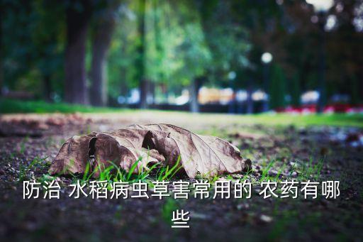 防治 水稻病蟲草害常用的 農(nóng)藥有哪些