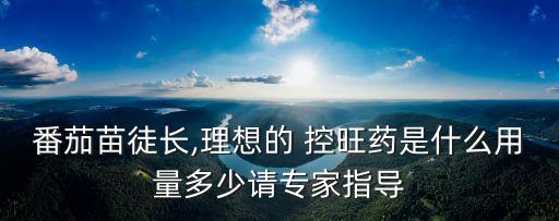 番茄苗徒長,理想的 控旺藥是什么用量多少請專家指導