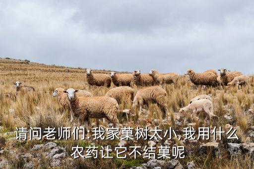 什么農藥影響坐果子樹,果子爛了施什么農藥