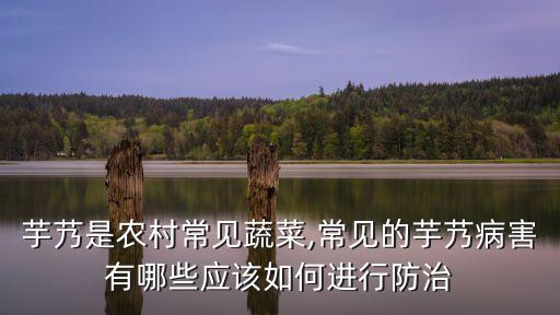 芋頭葉子發(fā)霉打什么農藥,芋頭的葉子什么樣 圖片