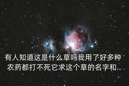 撒農(nóng)藥背的叫什么草,有種農(nóng)藥叫什么丹