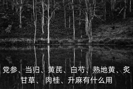 黨參、當歸、黃芪、白芍、熟地黃、炙甘草、 肉桂、升麻有什么用