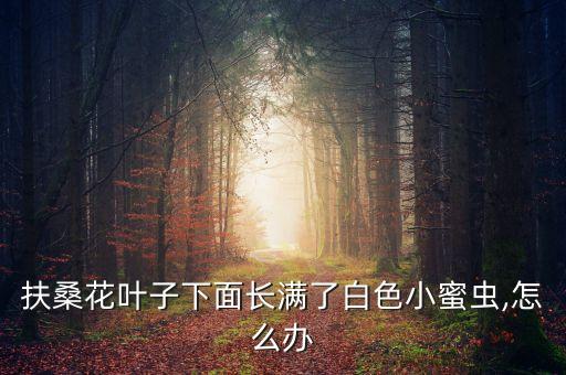 有蜜蟲用什么農藥,蜜蟲打什么農藥