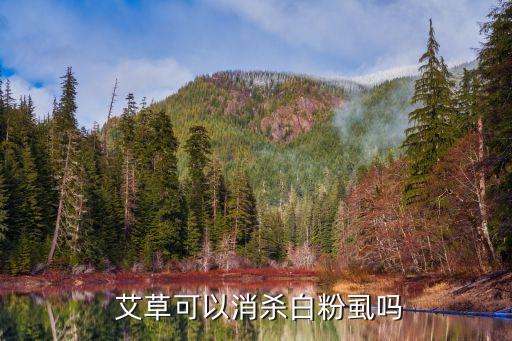 艾草可以消殺白粉虱嗎