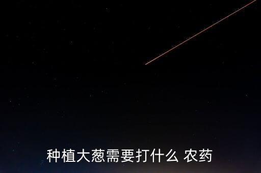 種植大蔥需要打什么 農藥
