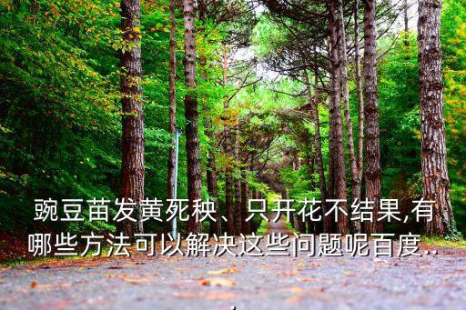 用什么農藥不傷害豌豆苗,豌豆苗要打什么農藥