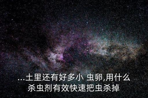 ...土里還有好多小 蟲卵,用什么殺蟲劑有效快速把蟲殺掉