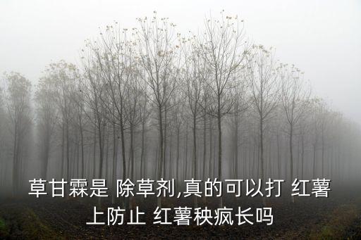 紅薯用什么農(nóng)藥打除草劑,順爾威佳農(nóng)藥紅薯除草劑