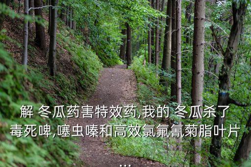 冬瓜噴什么農藥吹大,冬瓜一般用什么農藥