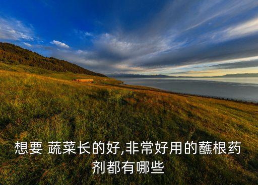 什么農藥促進蔬菜生長,在蔬菜生長過程中,常常噴灑農藥