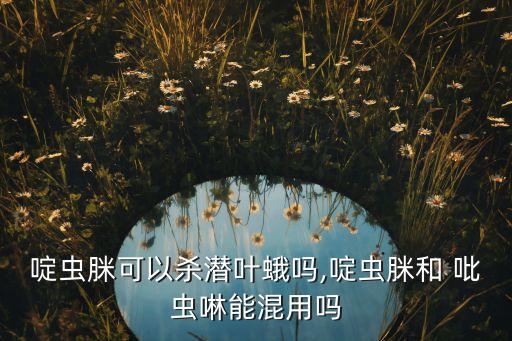 吡蟲啉屬于什么性農藥,農藥吡蟲啉是治什么的