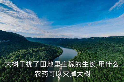 什么農(nóng)藥對(duì)樹根的作用,樹根生蟲用什么農(nóng)藥