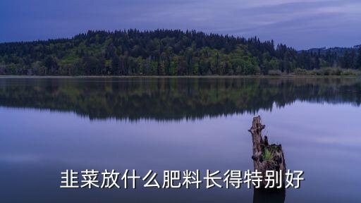 韭菜用什么農藥張的快,韭菜殘留什么農藥