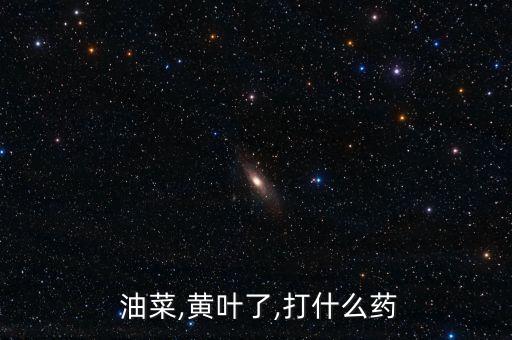 油菜,黃葉了,打什么藥