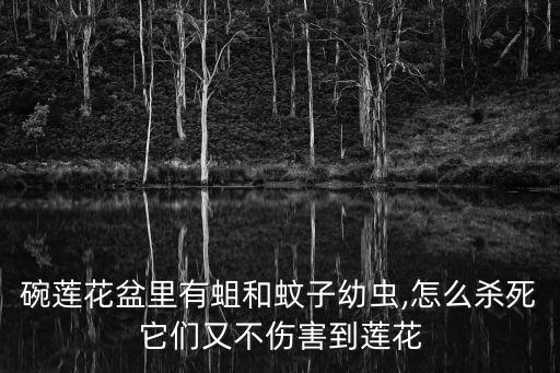 碗蓮花盆里有蛆和蚊子幼蟲,怎么殺死它們又不傷害到蓮花