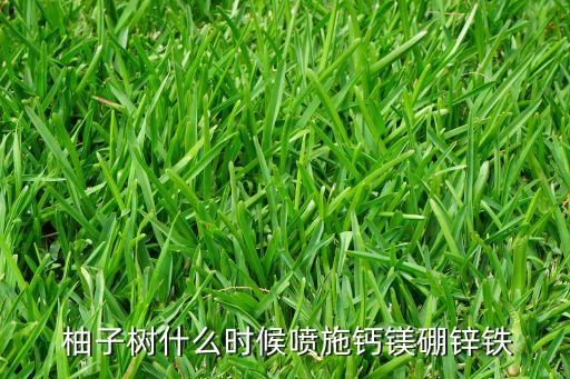 柚子用什么農藥除草,什么農藥除草效果最好