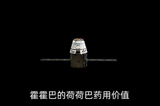 霍霍巴的荷荷巴藥用價值