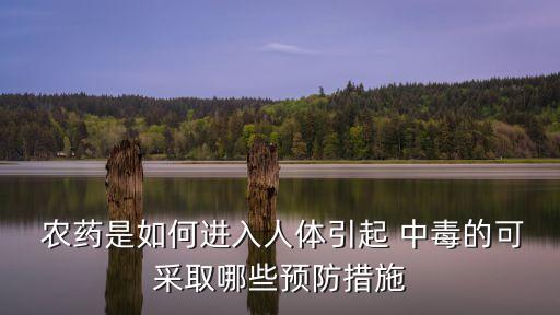 農(nóng)藥是如何進(jìn)入人體引起 中毒的可采取哪些預(yù)防措施