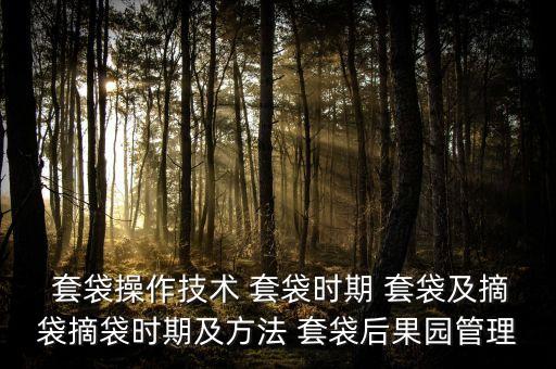  套袋操作技術 套袋時期 套袋及摘袋摘袋時期及方法 套袋后果園管理