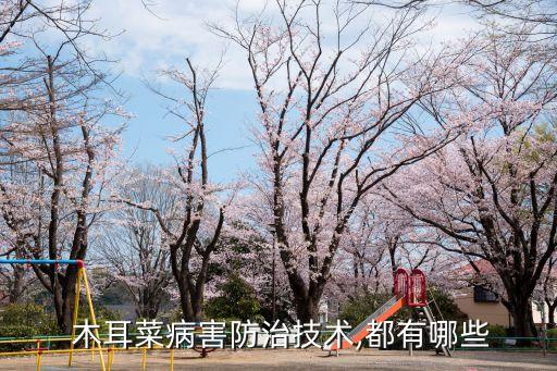 木耳菌地怕什么農(nóng)藥,木耳上的鈣絲菌最怕什么