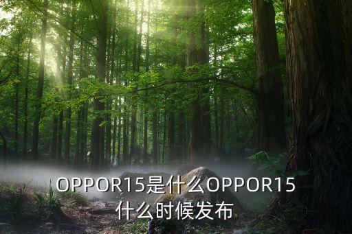 oppo r是什么農藥,OPPO最垃圾的系列是什么