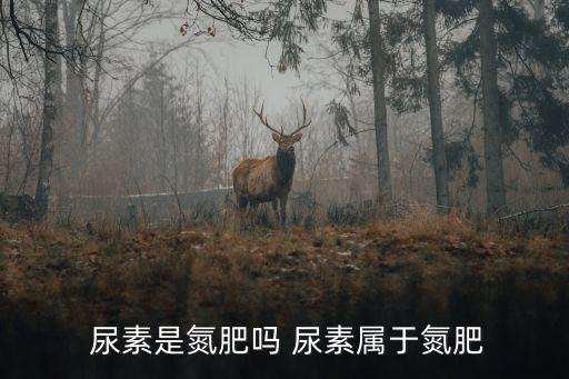 肥料尿素屬于什么類別農藥,車用尿素屬于什么類別