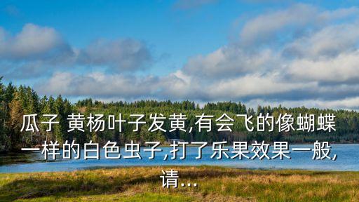 ,小葉黃楊用什么農藥