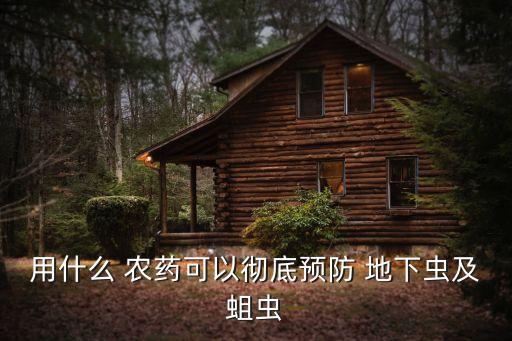 什么農(nóng)藥放地下能殺蟲,地下害蟲用什么農(nóng)藥