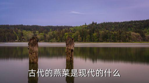 顏菜是什么農藥,666粉是什么農藥