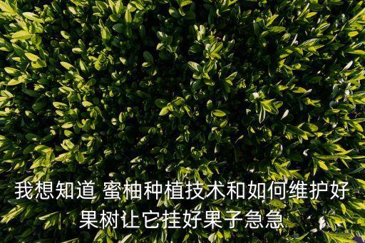 蜜柚現在季節用什么農藥,蜜柚什么季節成熟