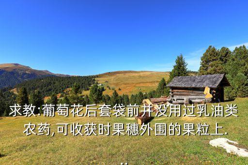 求教:葡萄花后套袋前并沒(méi)用過(guò)乳油類(lèi) 農(nóng)藥,可收獲時(shí)果穗外圍的果粒上...