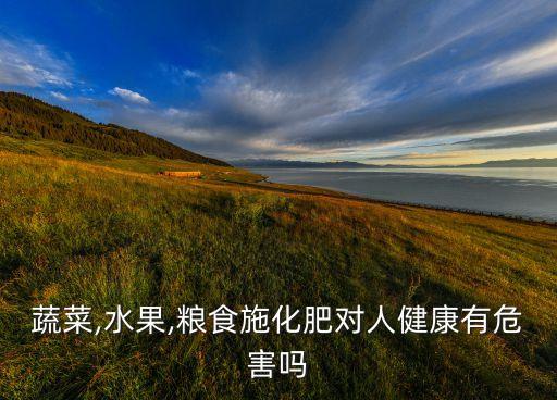 蔬菜,水果,糧食施化肥對人健康有危害嗎