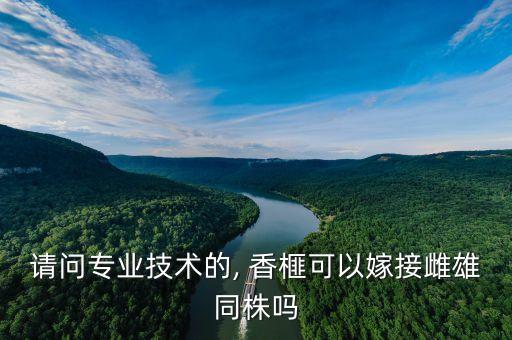 香榧樹現在要噴什么農藥