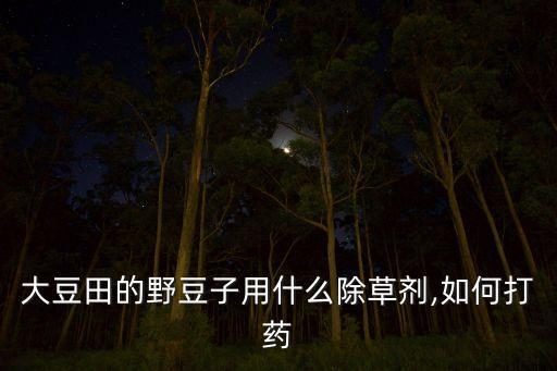 大豆田的野豆子用什么除草劑,如何打藥