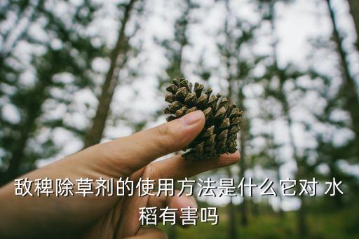 敵稗除草劑的使用方法是什么它對 水稻有害嗎