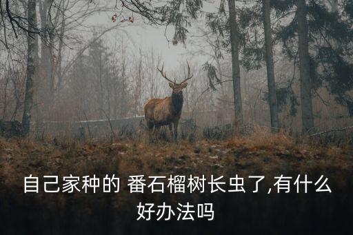 一般番石榴噴什么農藥,番石榴噴什么殺蟲劑