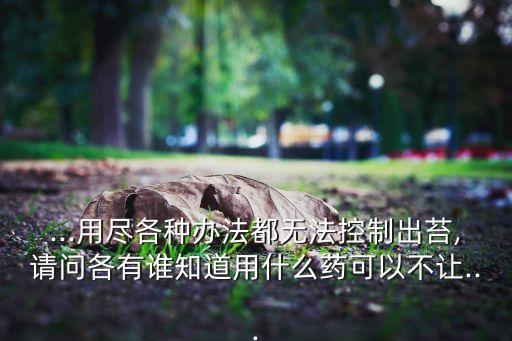 用什么農藥韭菜不吊葉,什么農藥能殺死韭菜