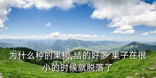 為什么種的果樹,結(jié)的好多 果子在很小的時候就脫落了