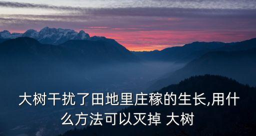  大樹干擾了田地里莊稼的生長,用什么方法可以滅掉 大樹