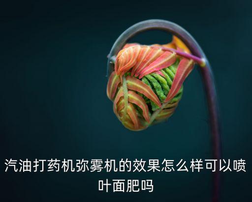 汽油打藥機彌霧機的效果怎么樣可以噴葉面肥嗎