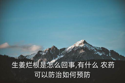 生姜爛根是怎么回事,有什么 農(nóng)藥可以防治如何預(yù)防