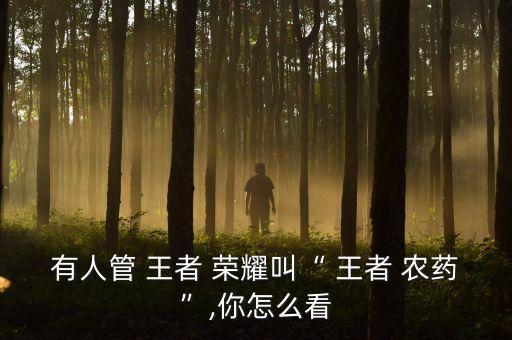 王者榮耀升級(jí)農(nóng)藥是什么,山寨版王者榮耀王者農(nóng)藥下載