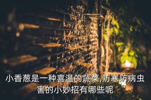 小香蔥是一種喜溫的蔬菜,防寒防病蟲害的小妙招有哪些呢