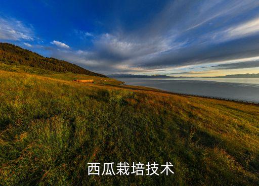 種西瓜要噴什么農藥,西瓜噴醋有什么作用