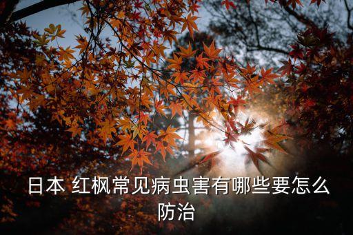  日本 紅楓常見病蟲害有哪些要怎么防治